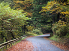 日の出山登山口(柿平園地)の林道御岳線