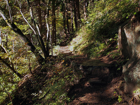 七代の滝に向かう山道