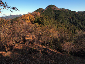 山道から二子山を望む