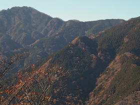 武甲山側の稜線