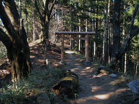 日の出山から武蔵御嶽神社へ向かう山道