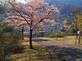 小河内ダム登山口付近の園地