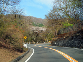 奥多摩周遊道路