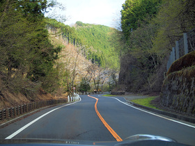 桜が咲く奥多摩周遊道路