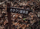 カタクリ観察路