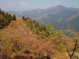 浅間嶺展望台からの眺望