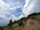 晴天の大菩薩嶺山道