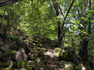 登山口付近の山道