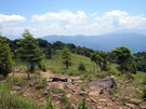 扇平の風景