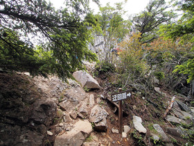 山頂に向かう迂回路