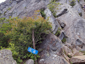 鳳岩の札