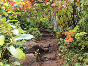 色づきはじめた磐梯山登山道