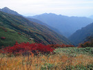 平標山ノ家付近の風景