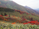 平標山ノ家付近の風景2