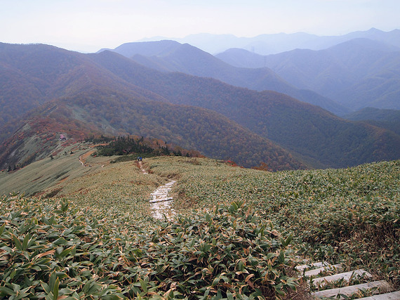 平標山ノ家から登ってきた道を振り返る