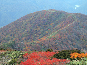 松手山コースから松手山を望む