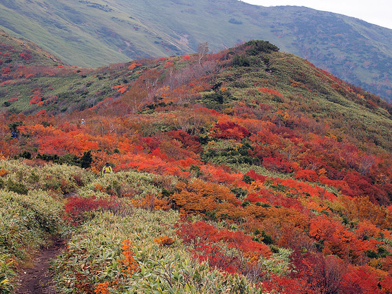 紅葉の松手山コース