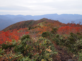 松手山の先に苗場山の遠望