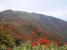 松手山コースからの風景