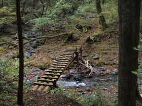 手書きの道標に従って、左に進むと現れる木橋