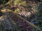 大丹波川沿いの山道