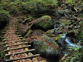 大丹波川沿いの山道2