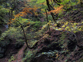 大丹波川沿いの山道3