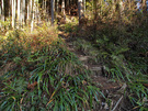 登山口付近の急坂