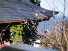 御岳神社