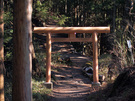 御岳神社の鳥居