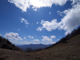 雁峠から林道方面