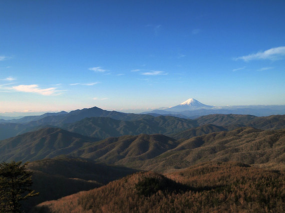 早朝の笠取山からの眺望