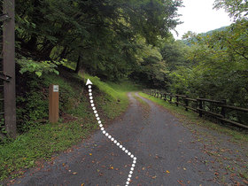 御前山方面(左手)の分岐