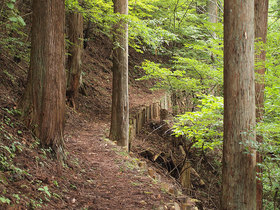 遊歩道のような登山道2