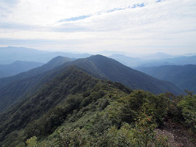 登山道1