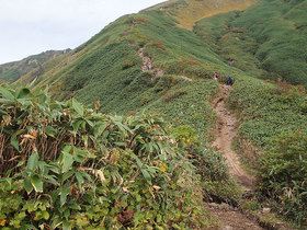 登山道2