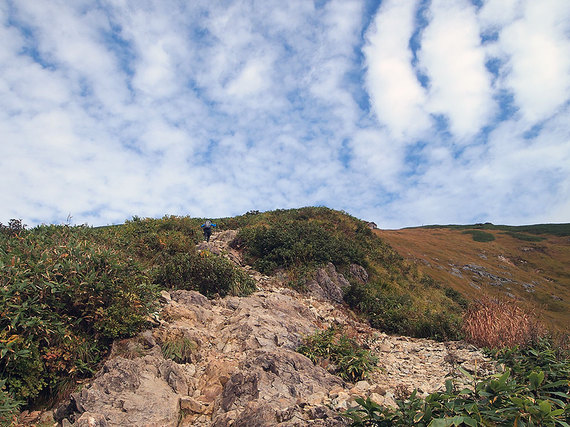 登山道3