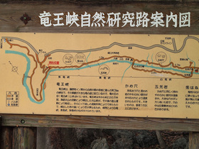 龍王峡自然研究路案内図