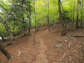 龍王峡の散策路3