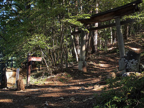 鷹ノ巣山まで3.8Km、浅間神社一の鳥居