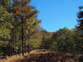 鷹ノ巣山避難小屋前の石尾根