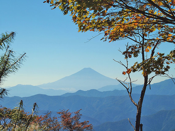 鷹ノ巣山山頂直下の草原からの展望1