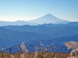 富士山を望む都内最良地点 鷹ノ巣山