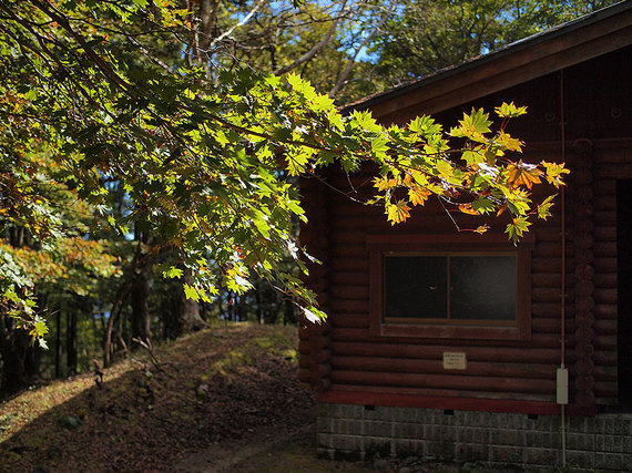 鷹ノ巣山避難小屋と紅葉