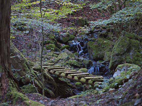 苔生した橋