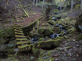 二つ目の苔生した橋