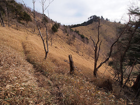 開けた登山道