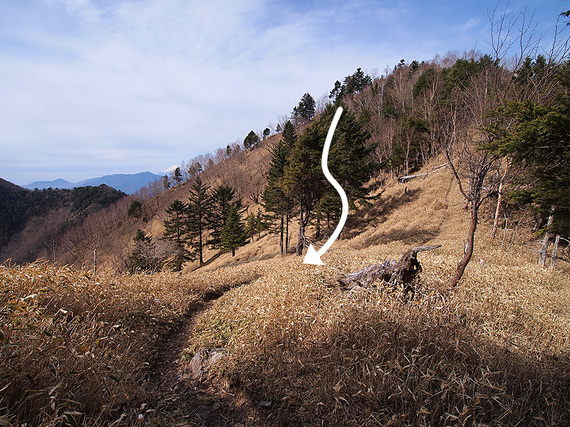 歩いてきたけもの道イメージ