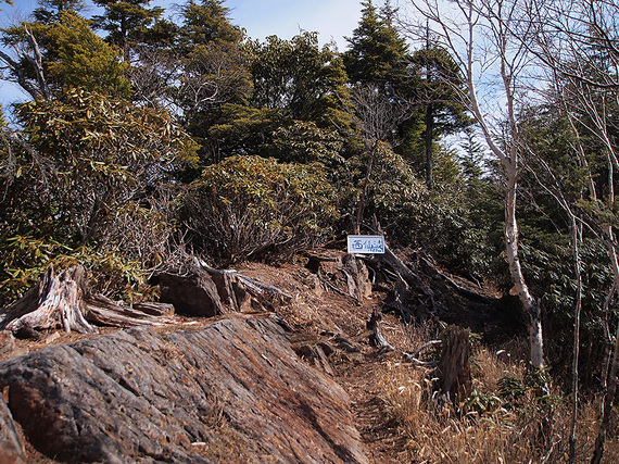 西仙波山頂