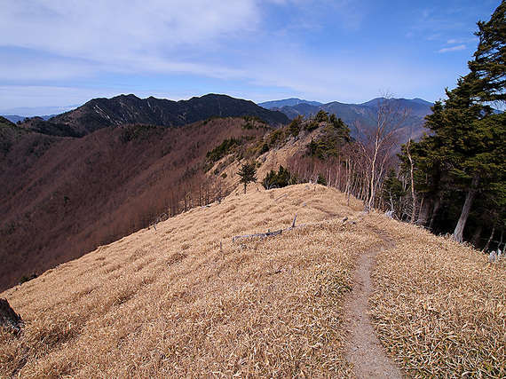 東仙波山頂から歩いてきた稜線